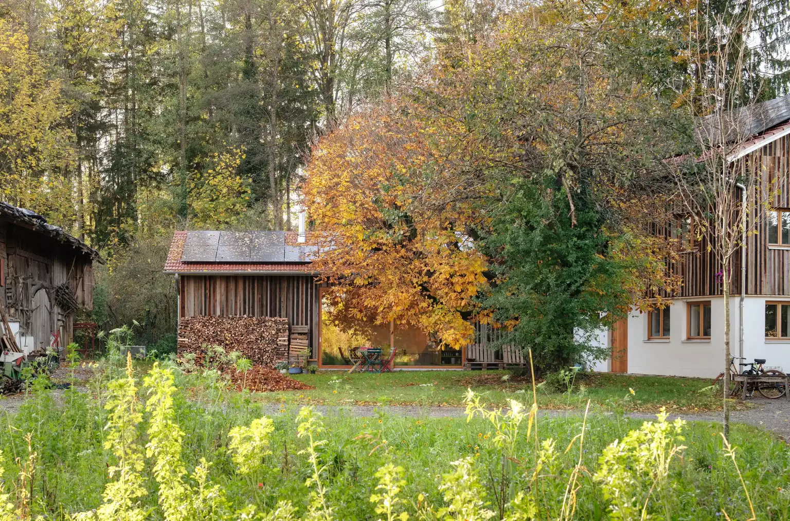 Neuer Hofraum mit alter Kastanie in herbstlichem Laub