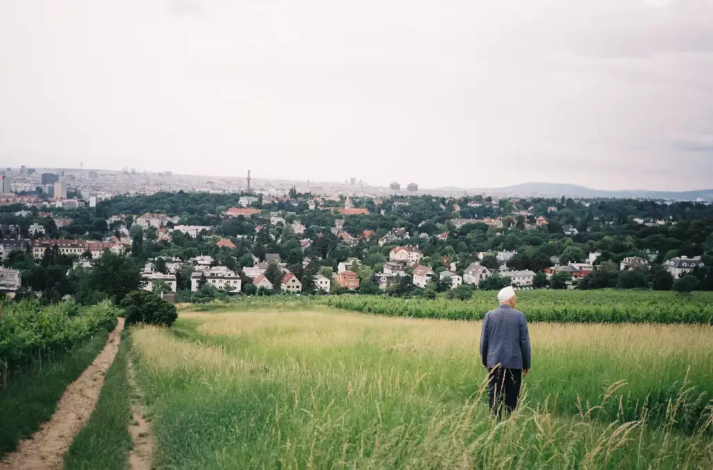 Wienwanderung Wienwanderung